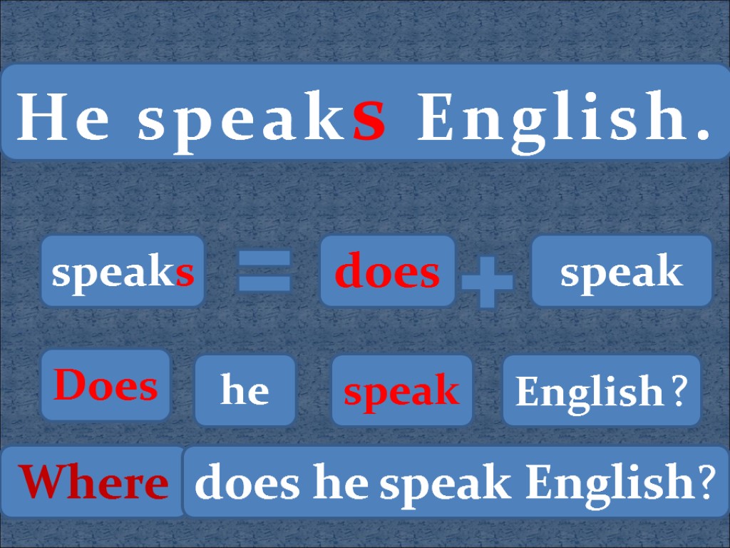 He speaks English. speaks does speak Does he speak English ? Where does he